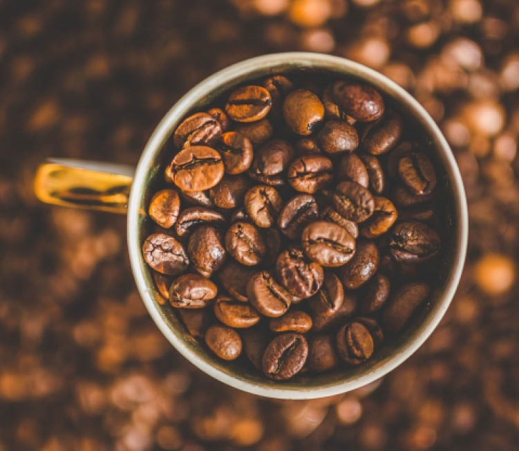 kamerplant-cappuccino-hoe-verzorg-je-je-coffea-arabica