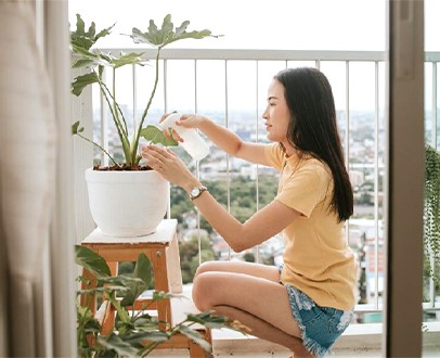 vanaf-wanneer-kan-je-je-kamerplanten-op-je-balkon-of-terras-zetten