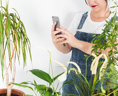 zo-breng-je-een-dode-kamerplant-weer-tot-leven