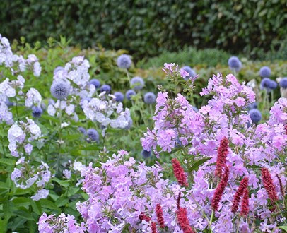 floxen-brengen-heerlijk-veel-kleur-en-geur-in-de-tuin