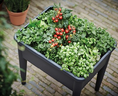 zo-kies-je-de-juiste-moestuinbak-voor-jouw-terras-of-balkon