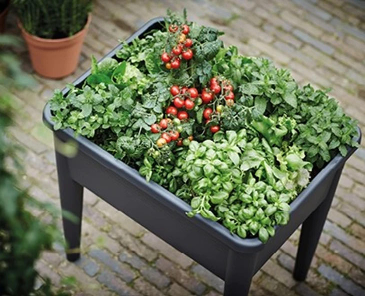 zo-kies-je-de-juiste-moestuinbak-voor-jouw-terras-of-balkon