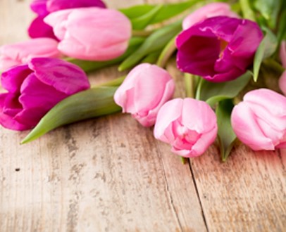 7-tips-om-je-tulpen-langer-mooi-te-houden