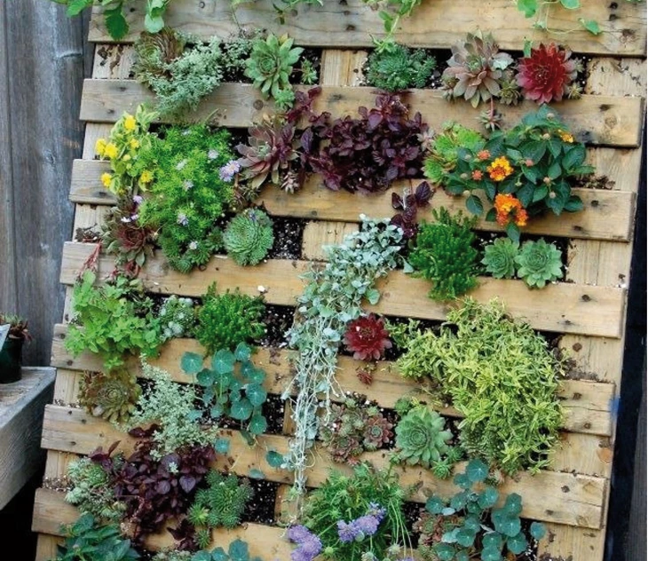 diy-je-eigen-verticale-tuintje