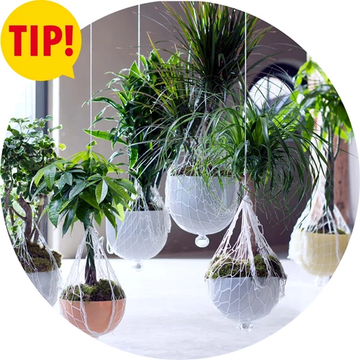 5x onverwoestbaar tip
