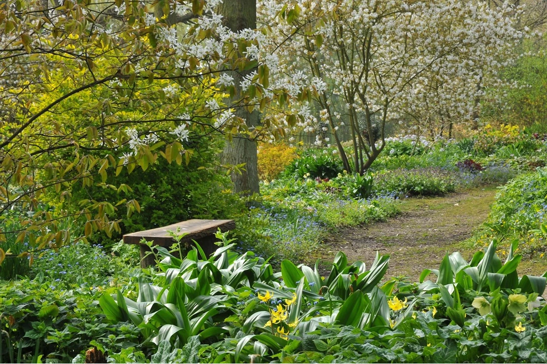 Beth Chatto Gardens krentenboompje min 638208716346443748