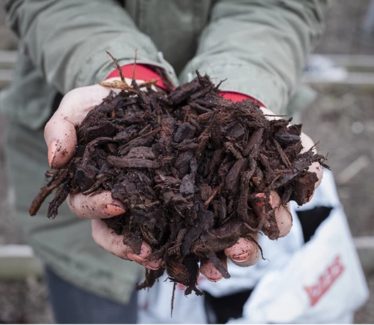 Blog bodem mulch 637477735030798424