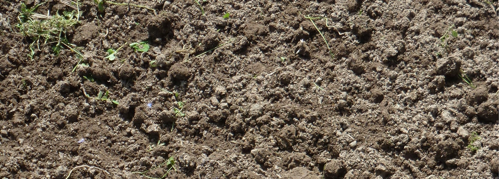 Gouden tips voor een gezonde bodem - Tuincentrum Pelckmans