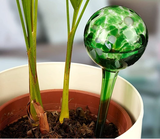 Vakantiegevoel - Hoe verzorg je je planten tijdens je afwezigheid? - Tuincentrum Pelckmans Vakantiegevoel - Hoe Verzorg Je Je Planten Tijdens Je Afwezigheid? - Tuincentrum Pelckmans