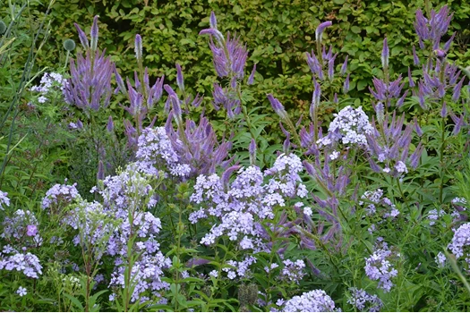 DSC 0030 PASTEL floxen min 638193970137161955