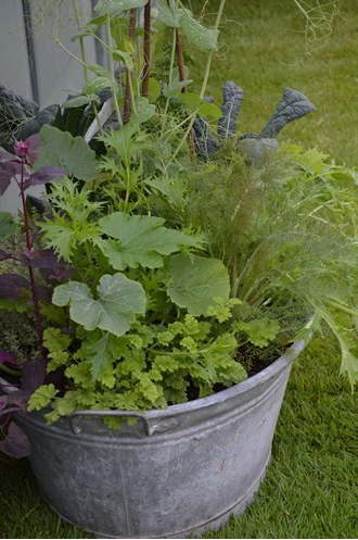 DSC 0449 moestuin pot brocante min 638213950747735105