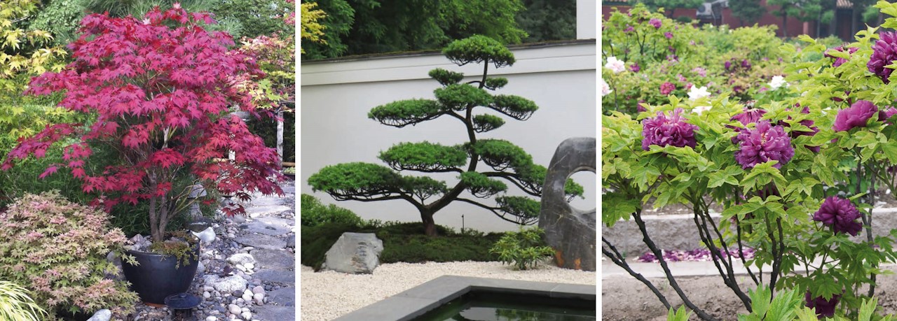 Spiksplinternieuw Zo creëer je een Japanse tuin waar je helemaal zen van wordt TE-73