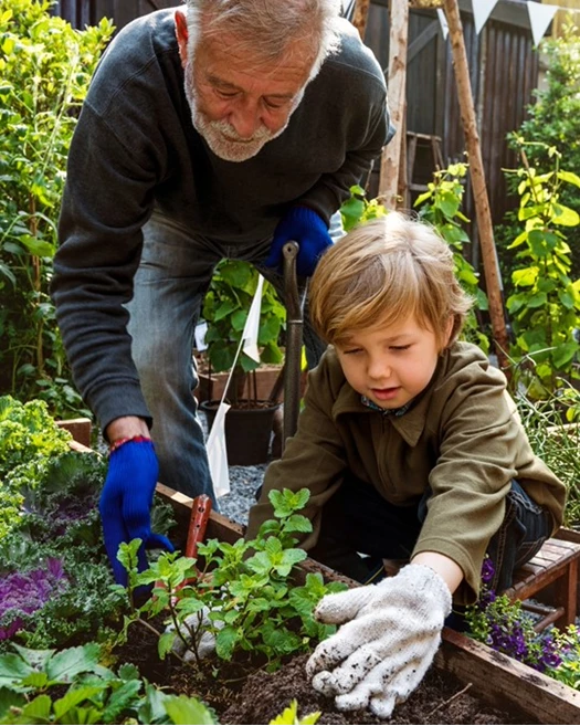 KlimaatbewusteTuin Eetbaargroen 02 638750365948955459