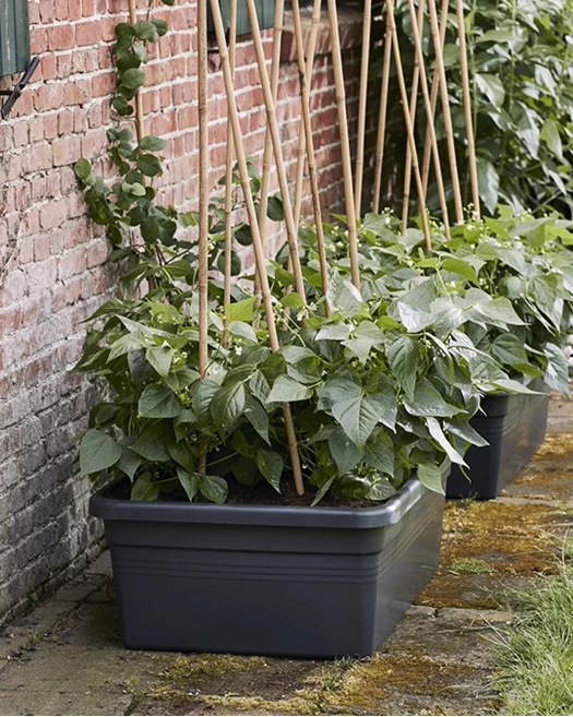 Moestuinbak Diepte 03 638823969854595742