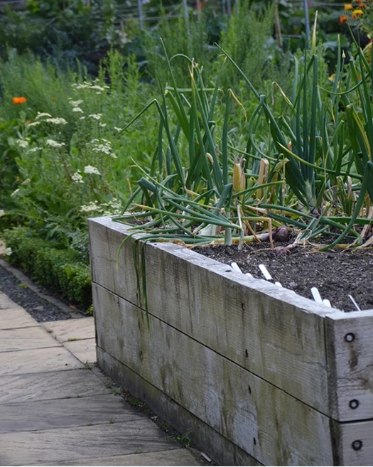 Moestuinbak Grootte 01 638823967254822412