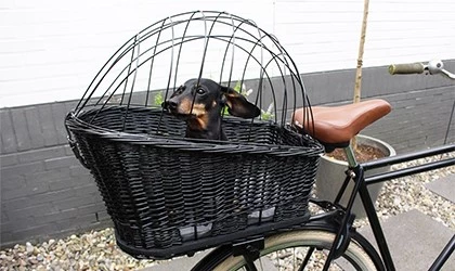 rechtop Huiswerk maken Afkorting Hoe neem je je hond mee op de fiets? - Tuincentrum Pelckmans