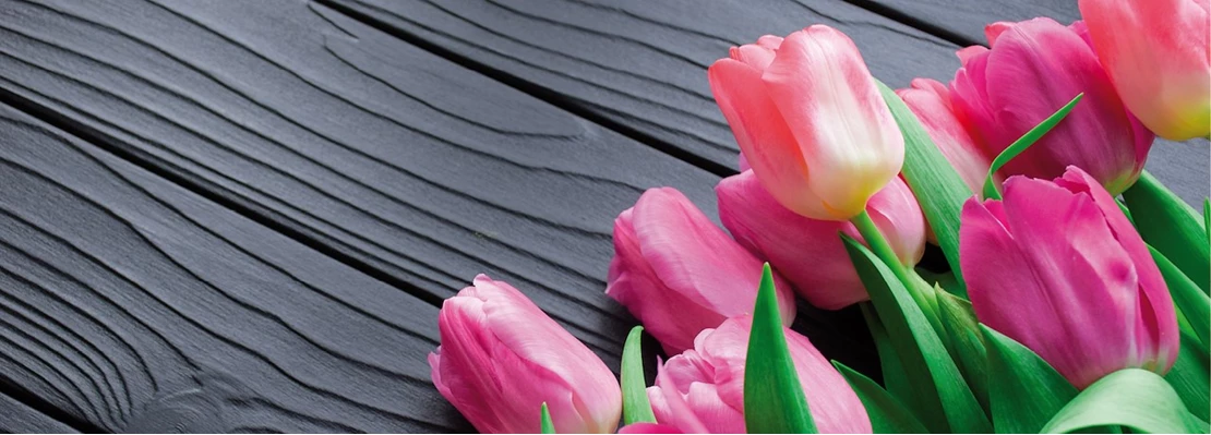 Tulpen Winterdip 637457045394362252