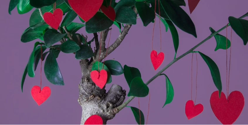 Valentijnkriebels Header 638743698488262352