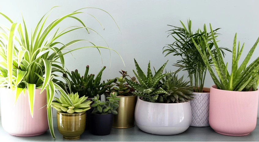 banner 637969361781273767