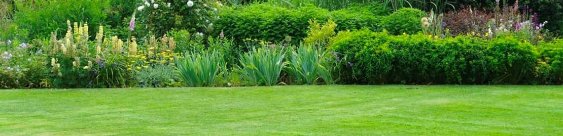 blogbanner kopieren kopieren 637982391790465901