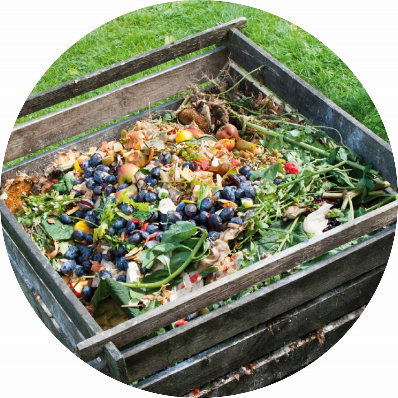 Composteren zonder stress, met het MANGOprincipe Tuincentrum Pelckmans