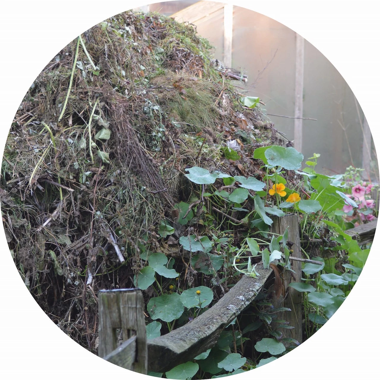 Supercomp 350L Tuincompostbak - Volledig Rattenbestendig, Slakdicht & Geurloos Composteren Zonder Omzetten, Verticale Beluchting, Bodemplaat En Windbescherming