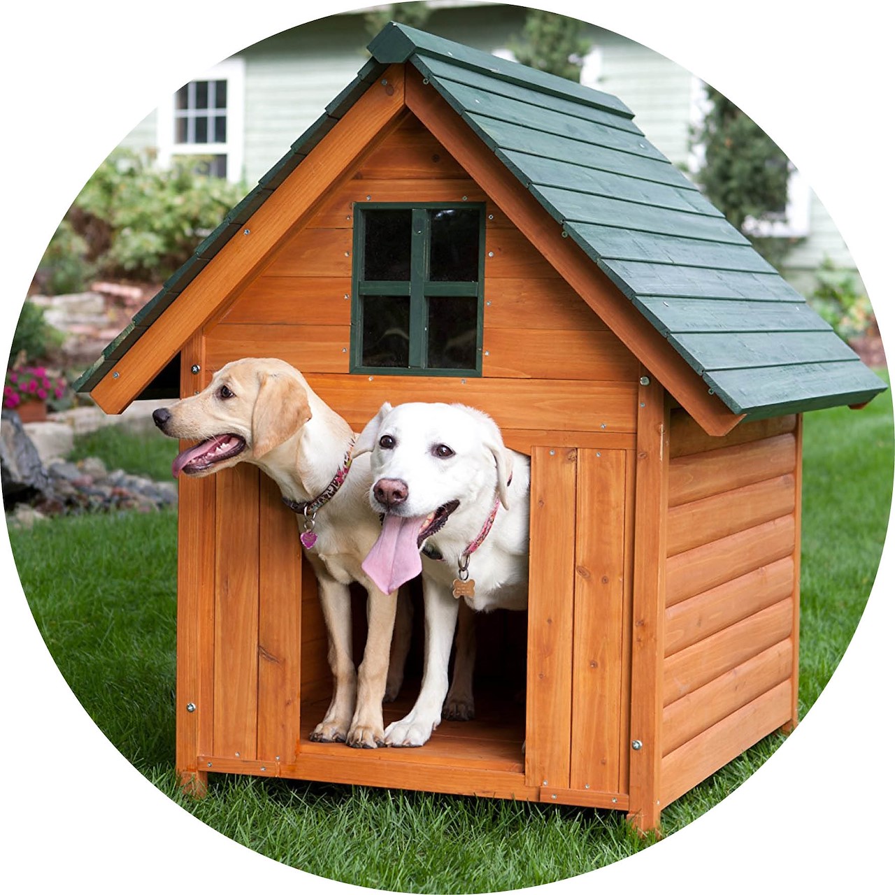 Een Tuin Op Maat Van Je Viervoeter Tuincentrum Pelckmans