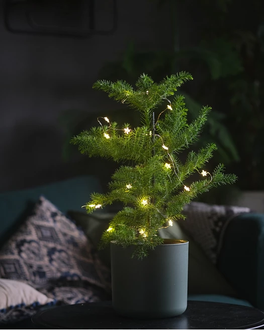 feey hr6AC0dL5JA unsplash 638377321801216656