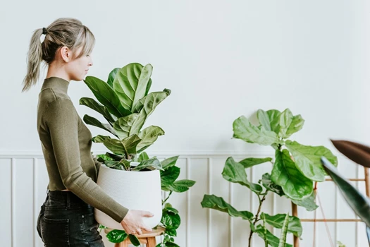 happy woman carrying houseplant 638347989398810168
