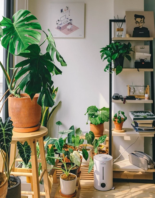 huy phan dM317CbttyY unsplash 1 638233011905901159