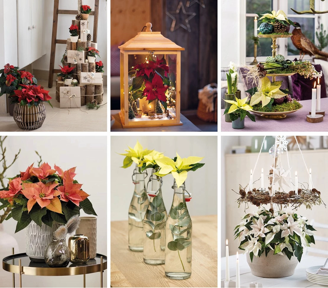 kerstster modern 4
