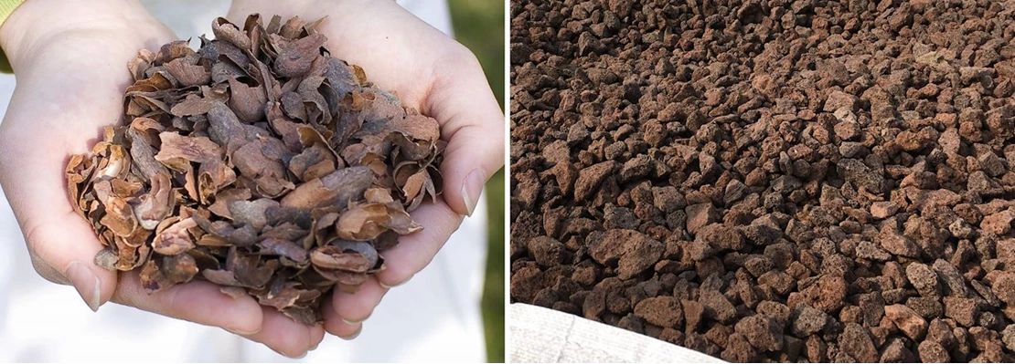 mulch 6