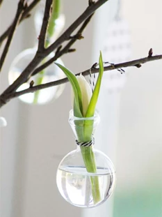 pasen deco 10