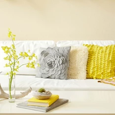 pasen deco 20