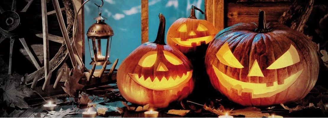 kleinhandel Vestiging voorspelling Een Halloween pompoen maken doe je zo - Tuincentrum Pelckmans