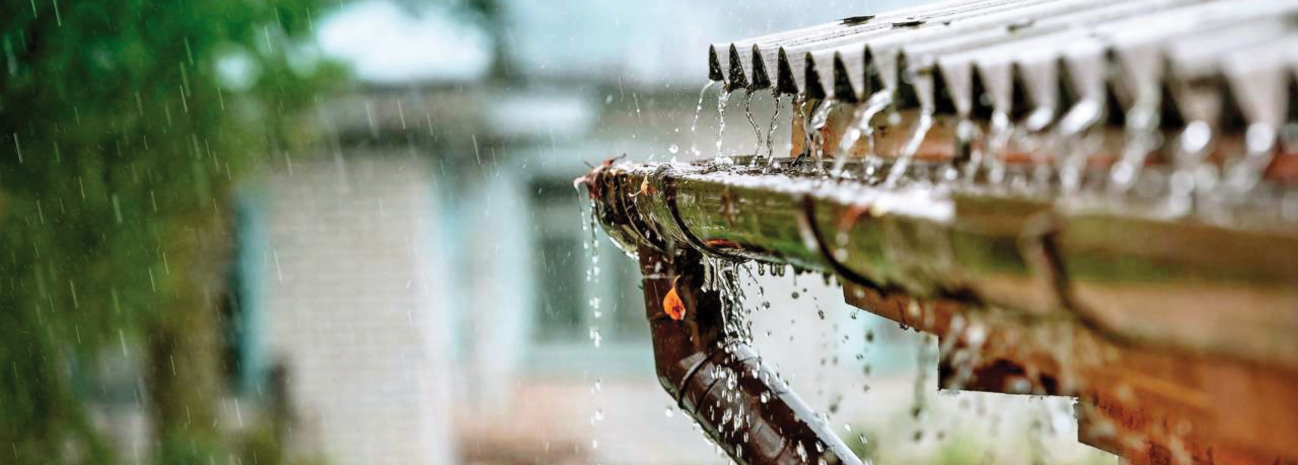 Zo kan je regenwater opvangen &amp; gebruiken in je tuin Tuincentrum