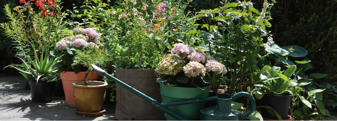 tuin vakantieproof 