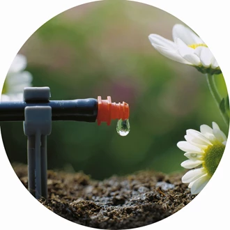 tuin vakantieproof 4