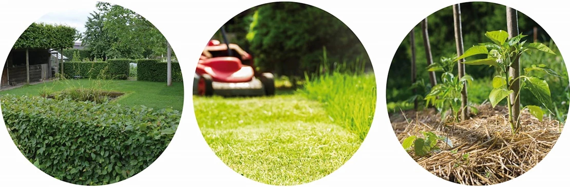 tuin vakantieproof 5