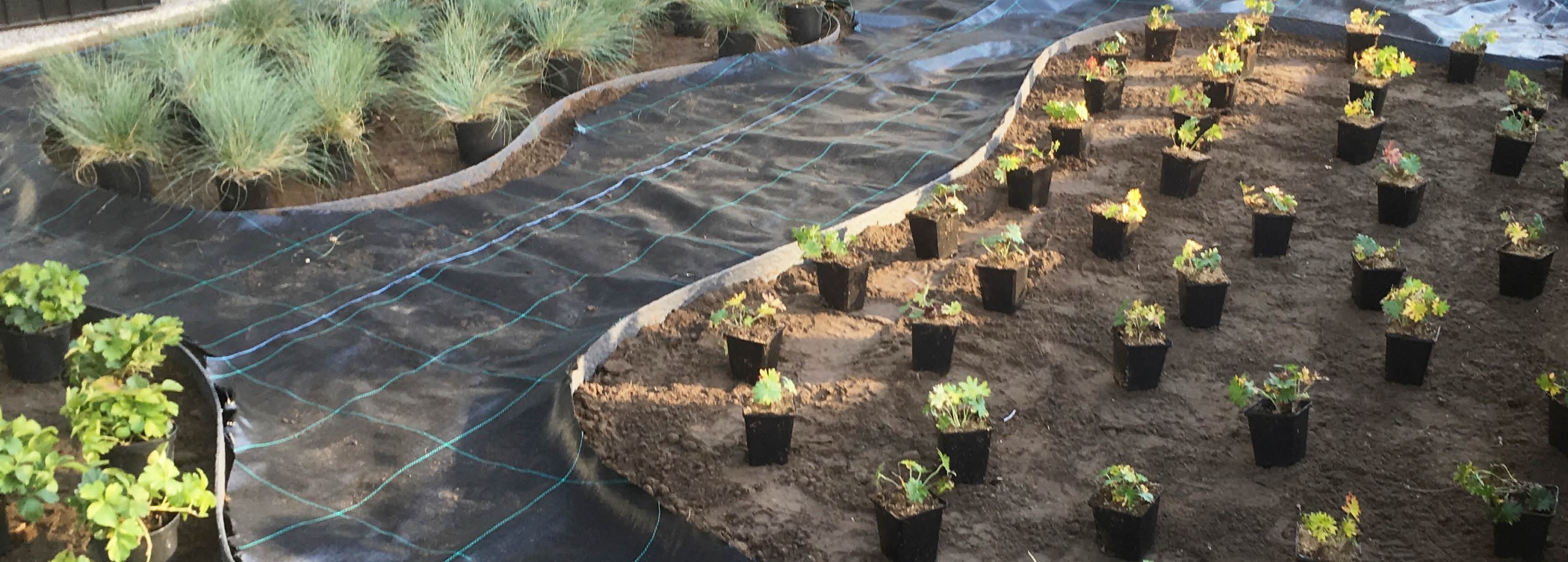 Je (voor)tuin aanleggen? Zo kan je dat zelf! Tuincentrum Pelckmans