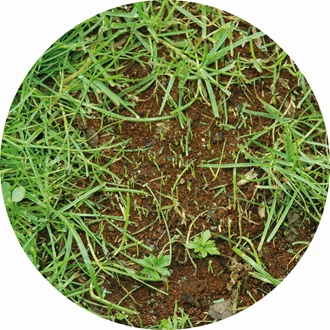 verticuteren 8